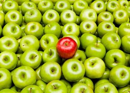 Fırtınanın İçinde İnsan Kalmak: Sömürge, İslamofobi ve “Öteki”nin İnşası